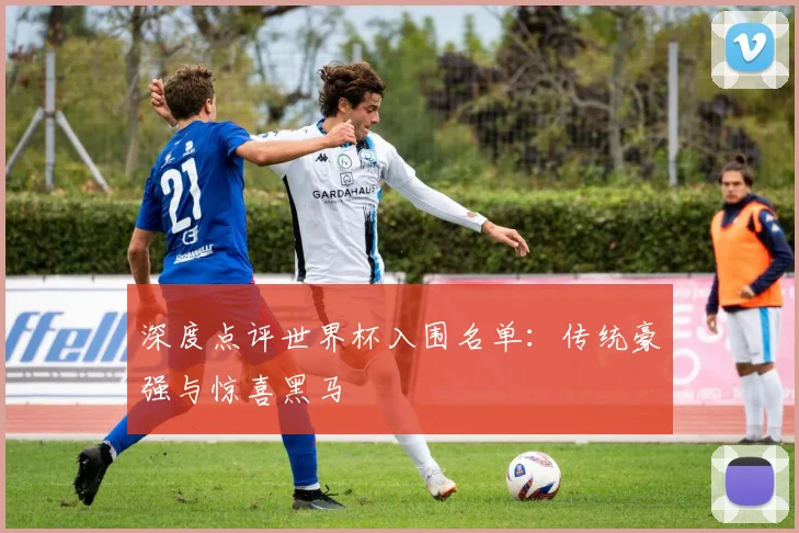 深度点评世界杯入围名单：传统豪强与惊喜黑马