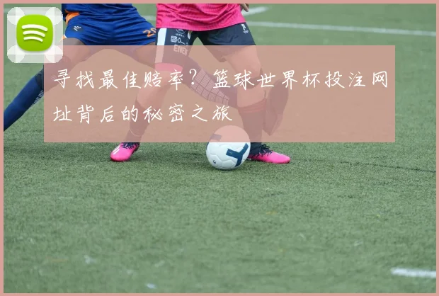 寻找最佳赔率？篮球世界杯投注网址背后的秘密之旅